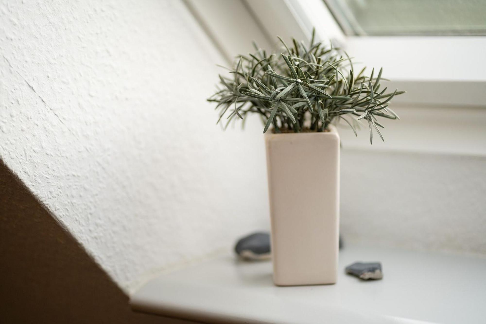 Ferienwohnung Ostlandstraße 1 Silbermöwe Kellenhusen Exterior foto